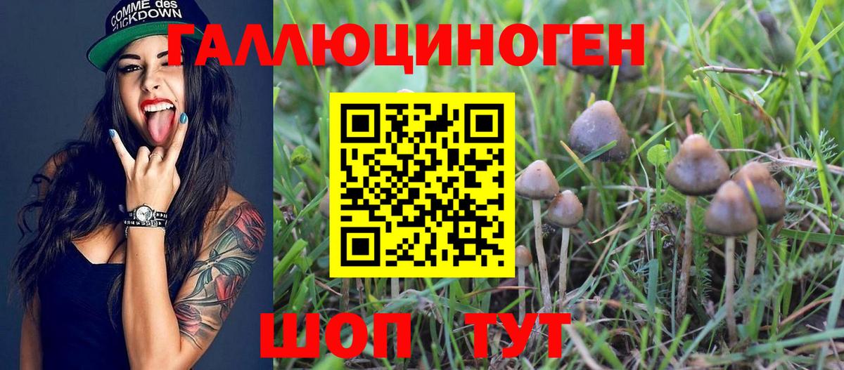 Ленинск-Кузнецкий  Псилоцибиновые грибы ЛСД  Вход с VPN 