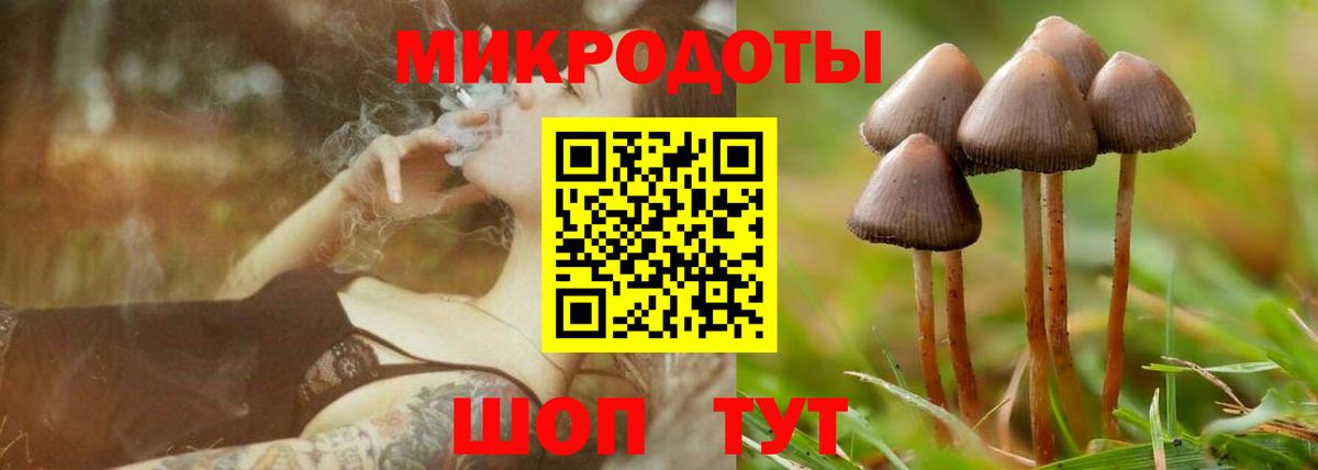 Галлюциногенные грибы Psilocybine cubensis Ленинск-Кузнецкий